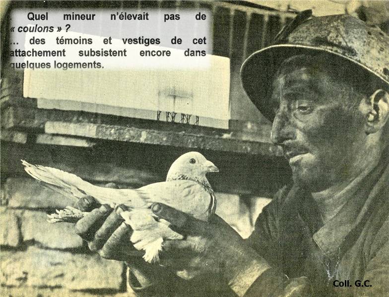clic pour agrandir
